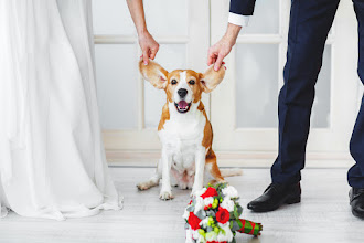 Fotografo di matrimoni Sergey Pinchuk. Foto del 26.02.2017