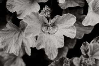 Fotógrafo de bodas Bruno Cruzado. Foto del 27.05.2025