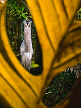 Fotógrafo de casamento Edder Arijim. Foto de 31.10.2023