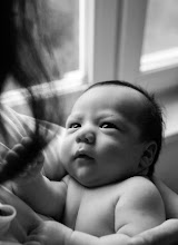 Wedding photographer Aleksandra Stepanova. Photo of 07.11.2025