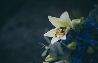 Fotógrafo de bodas Jessica Kleveland. Foto del 30.03.2019