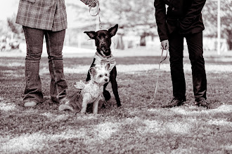 Wedding photographer Inma Postigo. Photo of 23.10.2025