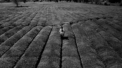 Photographer sa kasal Vahid Narooee. Larawan ng 02.10.2024
