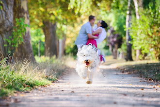 Hochzeitsfotograf Igor Link. Foto vom 01.11.2019