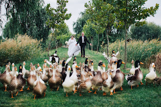 Fotografo di matrimoni Barna Bóna. Foto del 22.07.2019