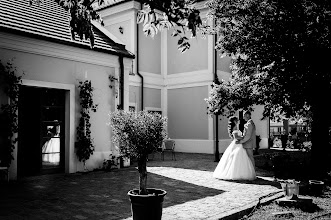 Photographer sa kasal Stefan Dorna. Larawan ng 22.05.2025