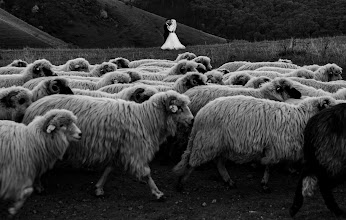 Düğün fotoğrafçısı Cosmin Vlad. Fotoğraf 10.05.2024 tarihinde