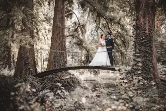 Wedding photographer Ádám Bencsik. Photo of 21.01.2024