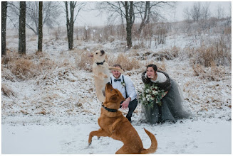 Vestuvių fotografas: Shanna Allen. 30.12.2019 nuotrauka