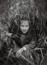 婚姻写真家 Denis Komarov. 16.02.2023 の写真