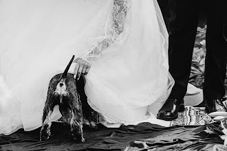 Photographe de mariage Kolya Shelest. Photo du 07.09.2025