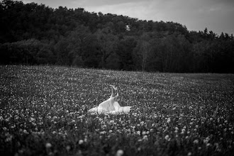 Svatební fotograf Bartłomiej Bara. Fotografie z 28.05.2025