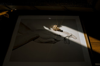 婚姻写真家 Lyubov Chistyakova. 13.11.2024 の写真