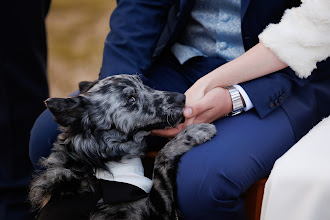 Hochzeitsfotograf Júlia Trieber. Foto vom 20.06.2024