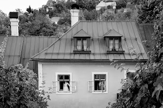 Wedding photographer Vanda Mesiariková. Photo of 20.08.2024