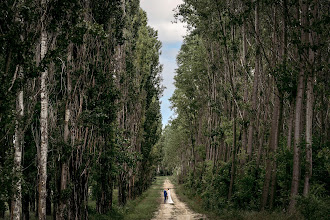 Fotógrafo de bodas József Márk Losonczi. Foto del 06.09.2025