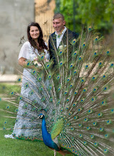 Fotografo di matrimoni Aleš Povondra. Foto del 16.08.2020