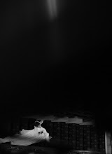 Fotógrafo de bodas Irina Makarova. Foto del 14.01.2022