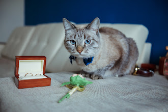 Wedding photographer Aleksandr Kabanov. Photo of 09.05.2023