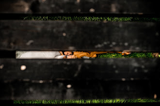 Wedding photographer Adrian Ilea. Photo of 27.06.2025