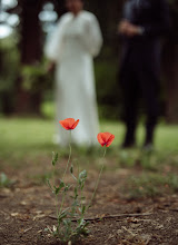 Fotógrafo de bodas Manuela Ortega. Foto del 09.10.2023