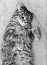 婚姻写真家 Dauren Aytkaziev. 25.08.2021 の写真