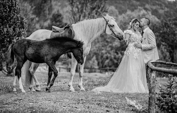 Wedding photographer Bojan Bralusic. Photo of 13.10.2023