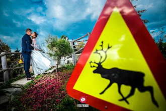 Fotógrafo de bodas Daniel Sulewski. Foto del 22.12.2017