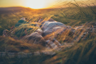 Fotograful de nuntă Roman Lyubimskiy. Fotografie la: 18.07.2016