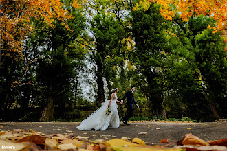 Fotógrafo de bodas David Almajano. Foto del 12.12.2023