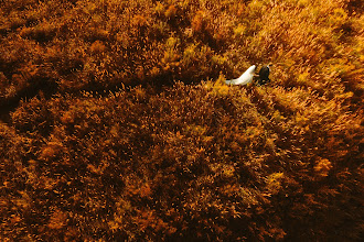 Wedding photographer Viktor Kryak. Photo of 01.09.2025