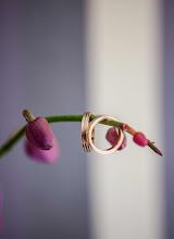 Photographe de mariage Laura Ruiz. Photo du 23.05.2019