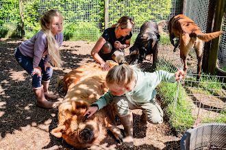 Svatební fotograf Karen Velleman. Fotografie z 28.10.2025