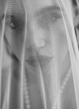 Fotografo di matrimoni Senio Firmati. Foto del 17.07.2025