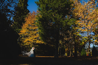 婚礼摄影师Constantin Alin. 02.11.2023的图片