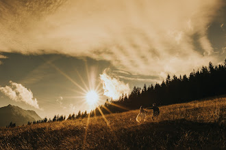 Fotograf ślubny Damian Niedźwiedź. Zdjęcie z 20.10.2021