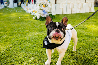 Wedding photographer Antonella Catalano. Photo of 27.07.2025