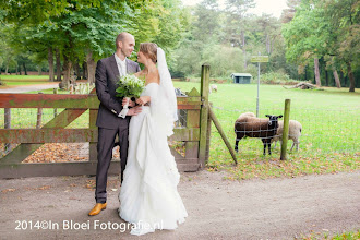 Wedding photographer Elisabeth Beelaerts. Photo of 08.06.2023