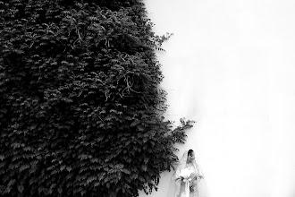 Svatební fotograf Vahid Narooee. Fotografie z 22.05.2025
