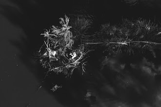 Vestuvių fotografas: Krzysztof Kołodziejczuk. 21.01.2021 nuotrauka