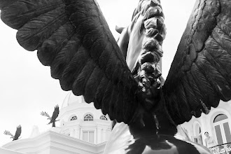 Φωτογράφος γάμου Tana Gon. Φωτογραφία: 16.07.2025