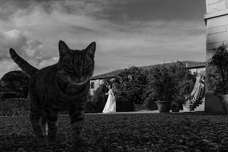 Svatební fotograf Vincenzo Pioggia. Fotografie z 31.01.2024