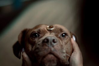 Wedding photographer Christian Olmedo. Photo of 12.11.2021