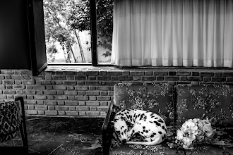 Fotógrafo de bodas Hamze Dashtrazmi. Foto del 26.05.2025