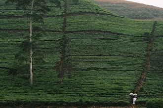 Jurufoto perkahwinan Jethro Rathnayake. Foto pada 11.01.2024