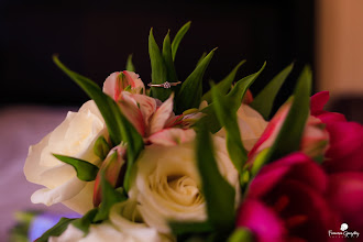 Wedding photographer Francisco González. Photo of 08.11.2024