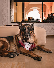 Wedding photographer Mohamed LAKHDAR. Photo of 04.10.2025