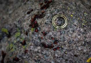 Wedding photographer Christina Falkenberg. Photo of 25.08.2025