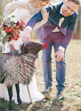 Wedding photographer Alena Nikolaevna. Photo of 11.10.2023