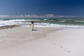 Hochzeitsfotograf Monika Pachler-Blaimauer. Foto vom 10.05.2024